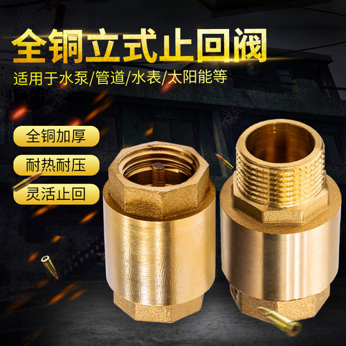 顶建20ppr4分6止回阀全铜PE水表立卧式马桶pvc管道单向阀逆止热熔 - 图3