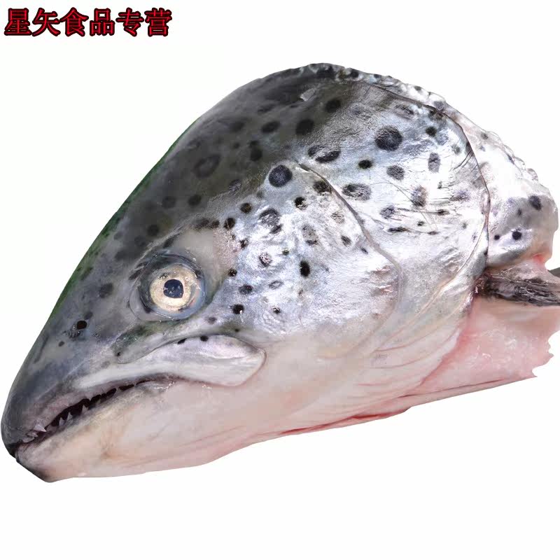  星矢食品三文鱼