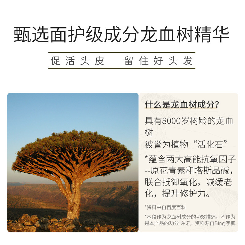 甄沐龙血树强根健发氨基酸洗发水 甄沐洗发水
