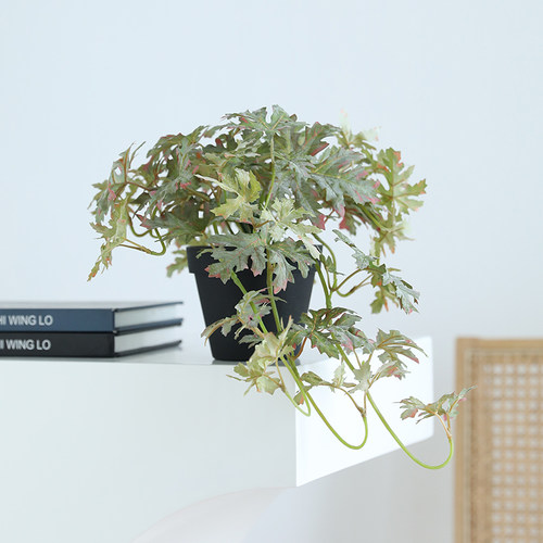 泰环 ins北欧风仿真藤蔓植物假盆栽造景客厅绿植摆件橱窗店面装饰 - 图0