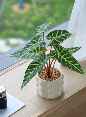 仿真绿植摆件小型小盆栽