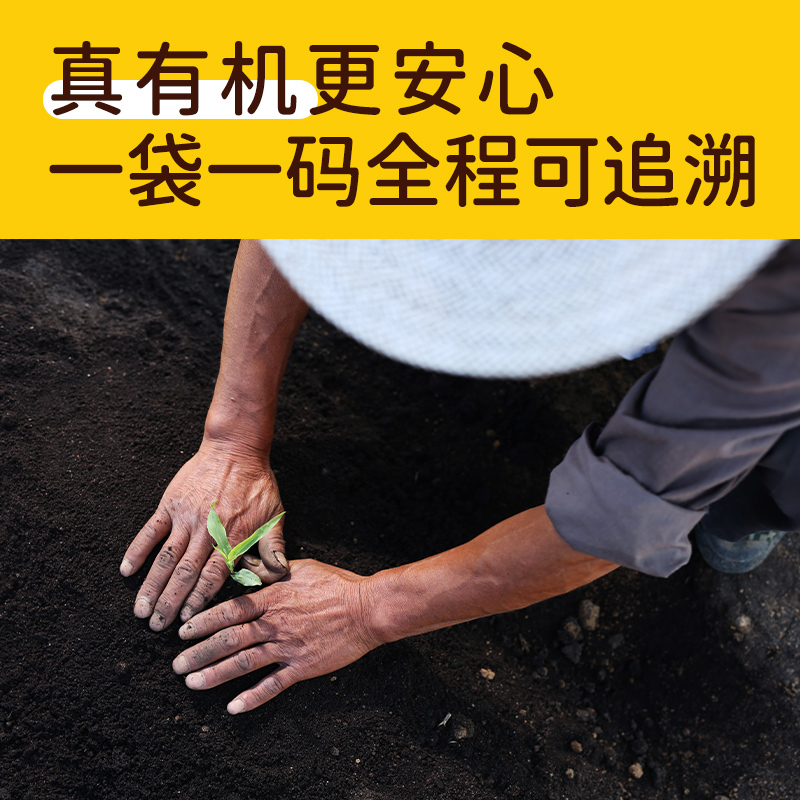 【李佳琦直播间宠物节】NS有机即食甜玉米粒100g*10袋沙拉配餐-图1