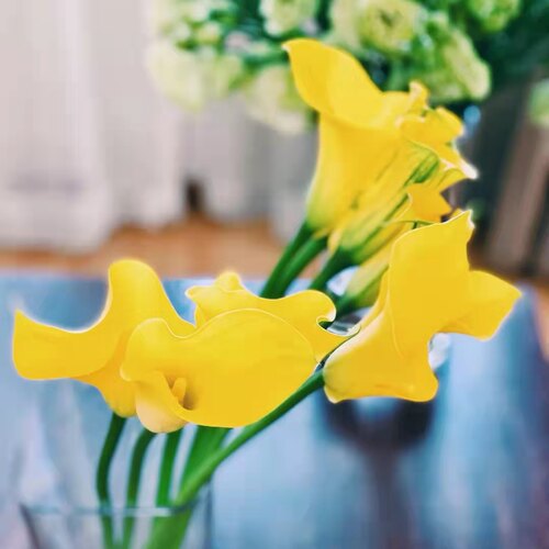 胜利之花| 云南直发剑兰 唐菖蒲 金鱼草 紫罗兰 马蹄莲鲜花 顺丰 - 图3