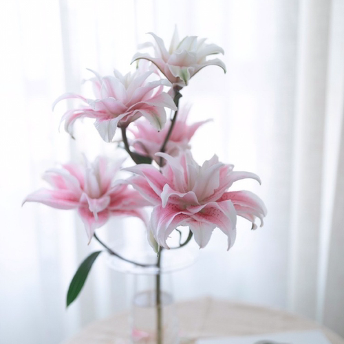 百合皇后|重瓣百合 鲜花云南直发  百合花 顺丰空运包邮 A级鲜花 - 图2