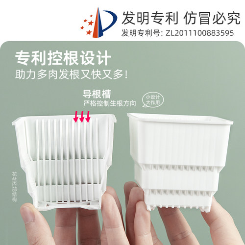 美莳种多肉植物的花盆组合塑料创意精致小白方带托盘一体控根专用 - 图2