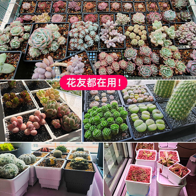 美莳多肉控根花盆大口径塑料创意个性透气中小号万象石斛盆景专用,淘宝优惠券,粉丝福利购,淘宝优惠卷