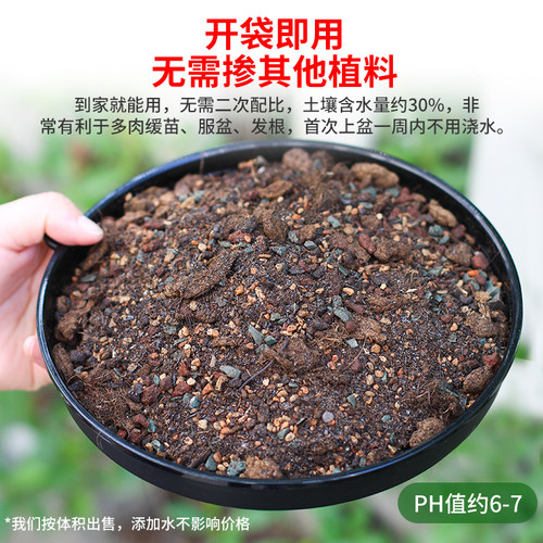 美莳多肉专用颗粒土植物小苗叶插营养进口泥炭赤玉土铺面石通用型 - 图2