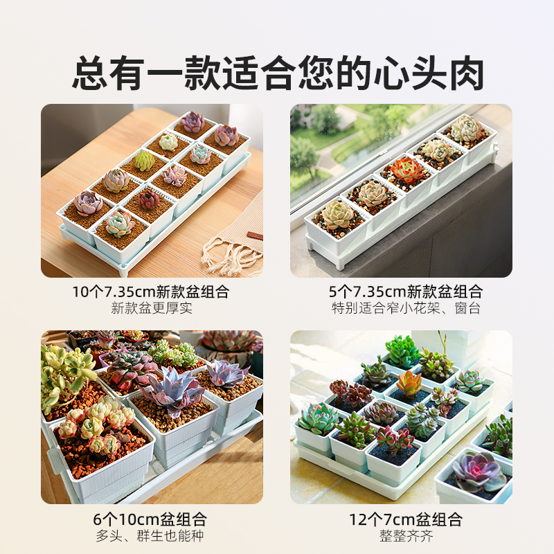 美莳控根多肉花盆长条形塑料透气专用小号方盆和营养土带托盘包邮 - 图2