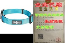 Blueberry Pet Essentials 30 Colors Classic Solid Color C