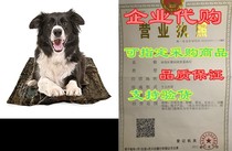 CHILLZ Cooling Pad for Dogs-Pet Cooling Mato Featurying R