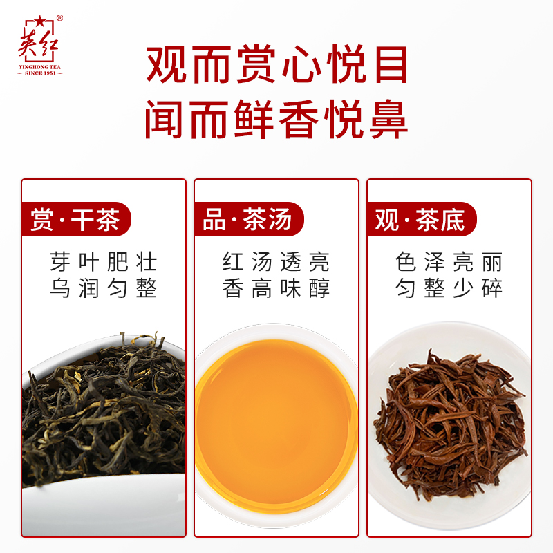 【买1送1】英红牌正宗英德红茶英红九号浓香型茶叶广东特产共250g