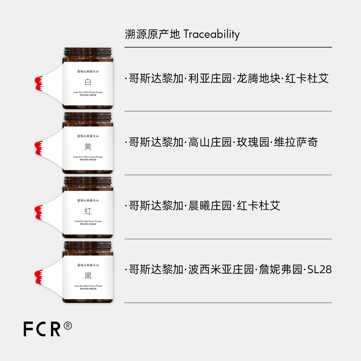 FCR哥斯达黎加蜜处理咖啡豆微批次手冲精品阿拉比卡无添加100g - 图1