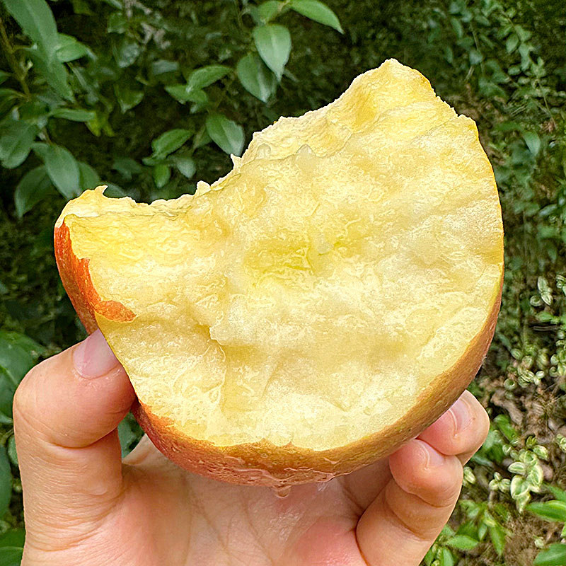 山西红富士苹果新鲜水果应当季脆甜整箱冰糖心丑平萍果现摘10包邮