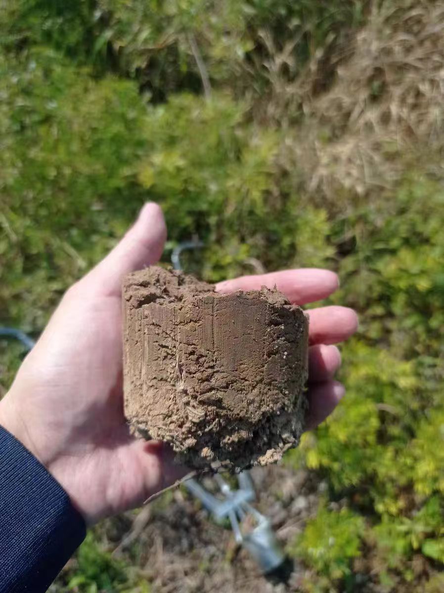 地膜打孔器种植种瓜定距尺移栽器打洞器取土器双杆栽苗器不锈钢 - 图1