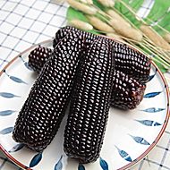 【8根】东北甜糯即食黑玉米