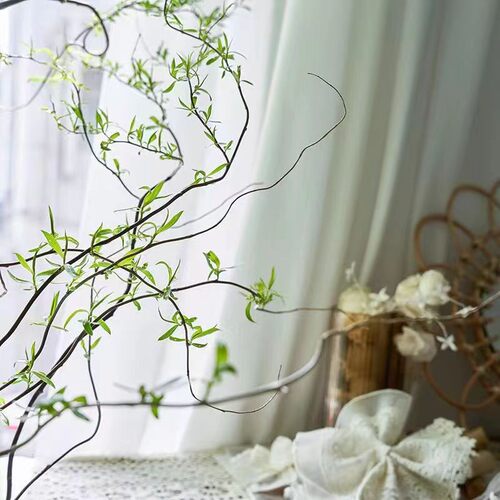 水培植物龙柳鲜枝切花水养绿植雪柳干支室内吊钟泡水长根装饰盆栽 - 图3