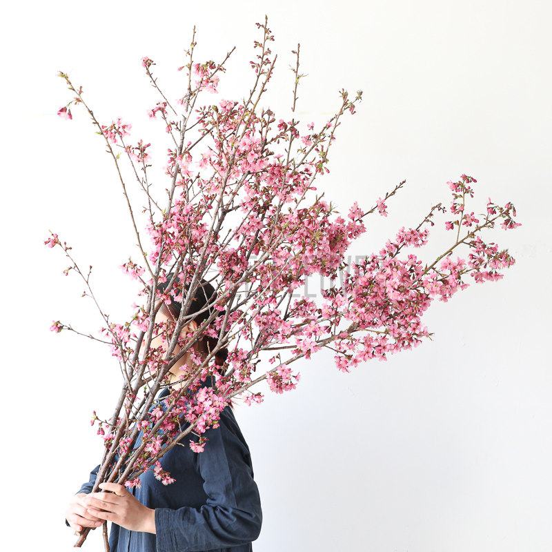 花叶春粉色樱花鲜枝水培桃花干枝珍珠李鲜花室内客厅观赏年宵花,淘宝优惠券,粉丝福利购,淘宝优惠卷