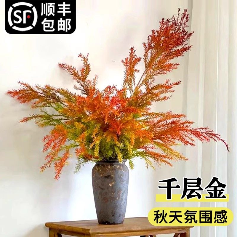 千层金鲜花桌面水培绿植黄金香柳花束鲜切花卉室内客厅插花永生花,淘宝优惠券,粉丝福利购,淘宝优惠卷