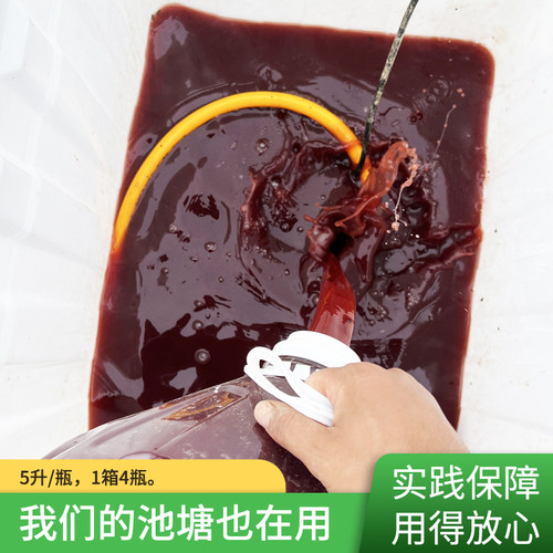 渔惠笑光合细菌原种培养基好扩培水产养殖鱼虾蟹大水面高温环境用 - 图3