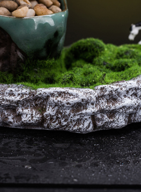 文竹盆栽盆景植物室内四季常青水培植物绿色植物文竹植物花盆苔藓