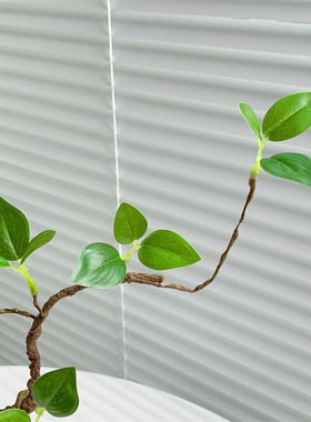 仿真绿植假植物室内客厅