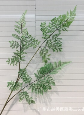 仿真文竹黑骨芒锯叶家居
