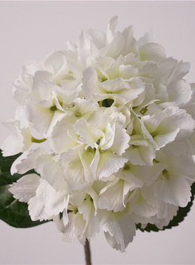 手感保湿绣球花仿真花假