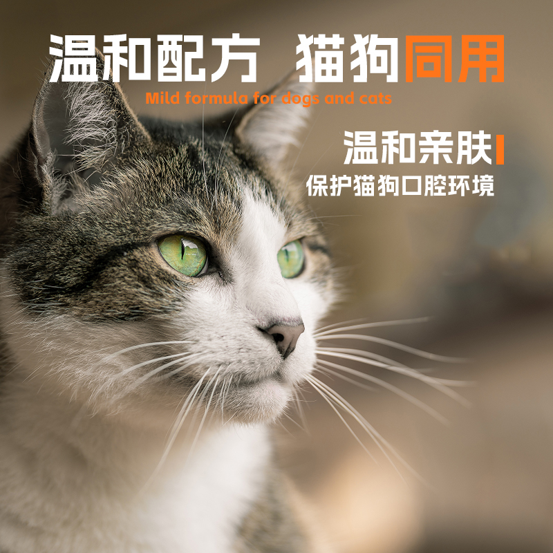 金渐层专用猫咪漱口水洁齿水宠物口腔清洁猫猫嘴巴口臭清新口气 - 图1