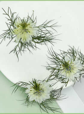 白色小清新幼儿园压花蜡烛装饰