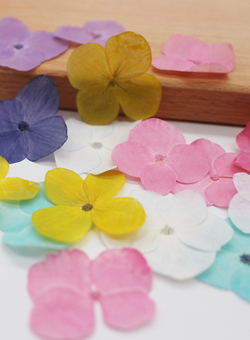 绣球干花押花多彩标本手工diy