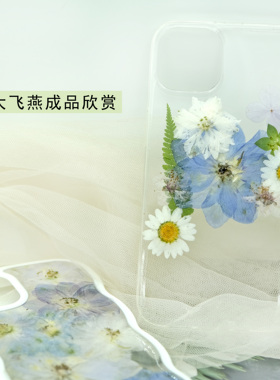飞燕植物标本美妆滴胶手机壳干花