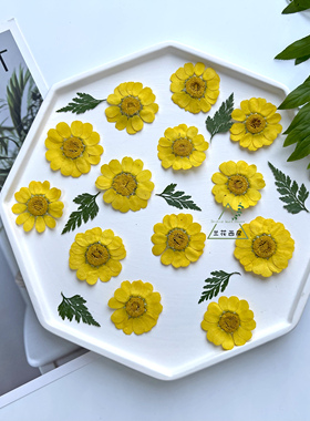 滴胶黄晶菊干花材料diy压花台灯