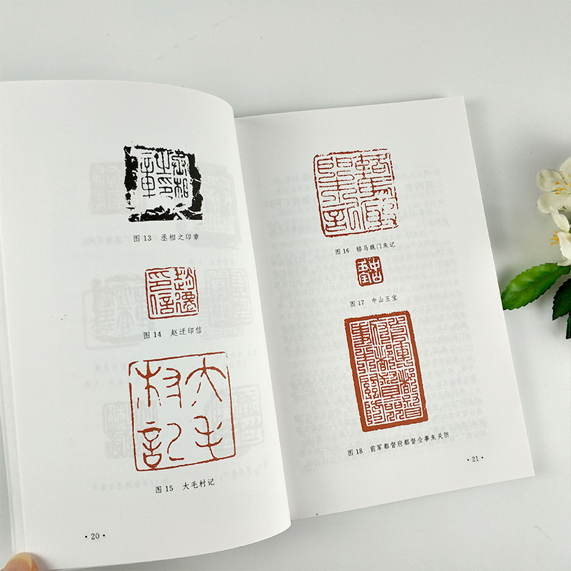 正版现货包邮 印学史 沙孟海 中国印章篆刻起源发展史印学派别名家工具技法篆书基础入门知识教程书古代印章鉴赏收藏图集西泠印社,淘宝优惠券,粉丝福利购,淘宝优惠卷