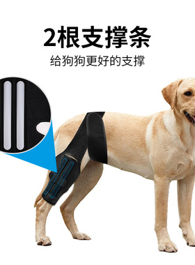 狗狗前后腿骨折固定器