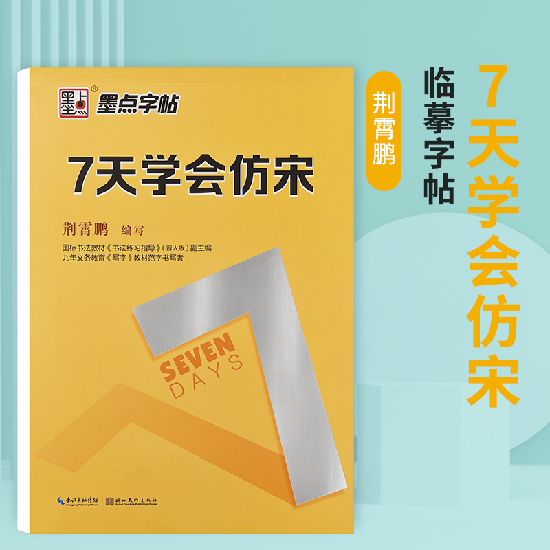 仿宋体字帖练字宋体钢笔专用临摹练字帖小学生初中生高中大学生成人初学者硬笔书法荆霄鹏正楷基础入门教程标准成年写字帖练字本 - 图0