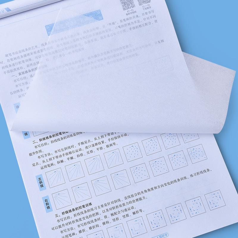 高中语文字帖高中生练字专用英语衡水体高中课本同步生字词语英文练字帖钢笔楷书楷体正楷临摹练字高中生古诗词古诗文文言文写字本 - 图2