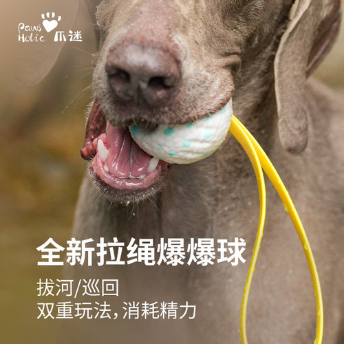 PawsHolic爪迷缤纷爆爆球狗狗自嗨解闷耐咬互动玩具球 - 图0