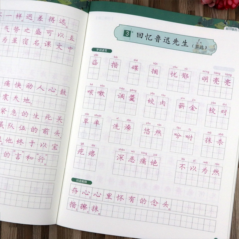 庞中华字帖七年级八年级上册下册人教版初中生楷书字帖初中生语文同步写字课课练中学生硬笔书法正楷体描红练字本庞中华钢笔练字帖 - 图1