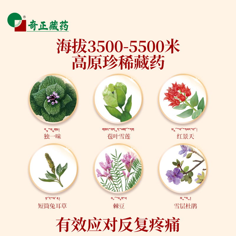 奇正 消痛贴膏12贴/盒肩周炎腰椎间盘突出骨质增生西藏旗舰店正品 - 图0