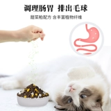 Кошка еда 10 фунтов 5 кг котят для увеличения пищевых щек и щеков 200 % кошек бездомных кошек едят котенка