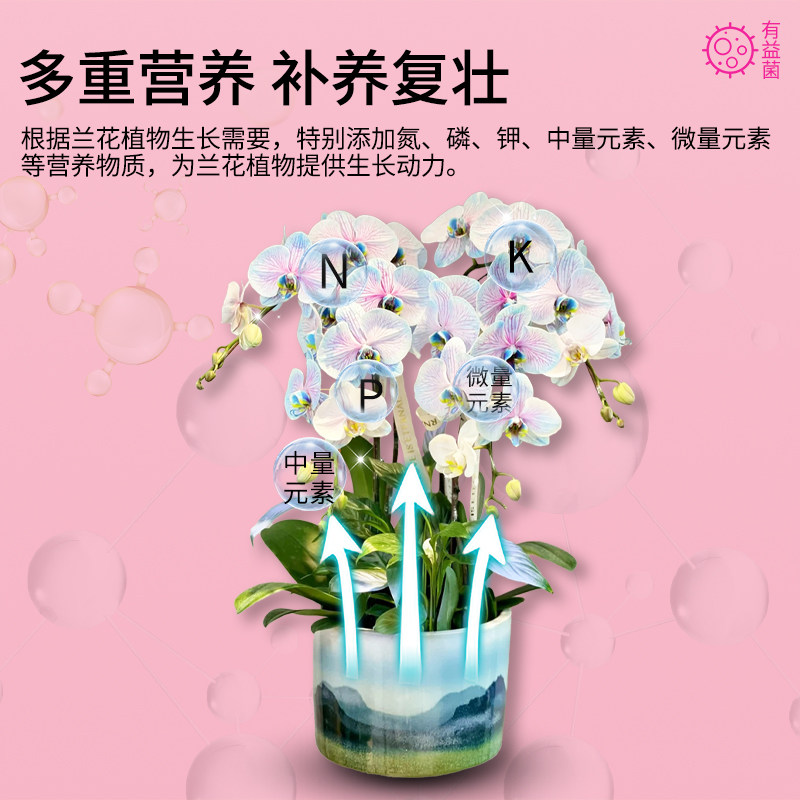 卡纳玛朵活菌粉兰花专用微生物菌剂蝴蝶兰养根壮根水溶肥养花肥料,淘宝优惠券,粉丝福利购,淘宝优惠卷