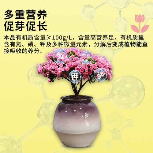卡纳玛朵优芽素植物通用花卉多肉三角梅促芽催芽有机营养液爆芽素 - 图3