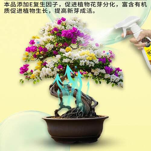 卡纳玛朵优芽素植物通用花卉多肉三角梅促芽催芽有机营养液爆芽素 - 图2
