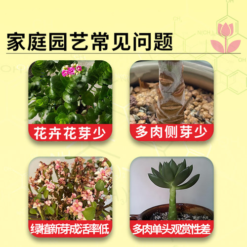 卡纳玛朵优芽素植物通用花卉多肉三角梅促芽催芽有机营养液爆芽素 - 图0