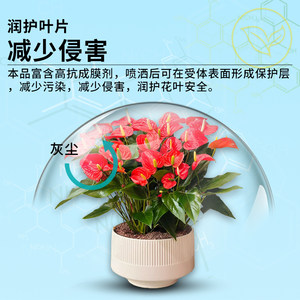 卡纳玛朵花叶康喷雾植物活性剂月季花卉多肉家用园艺养花有机肥
