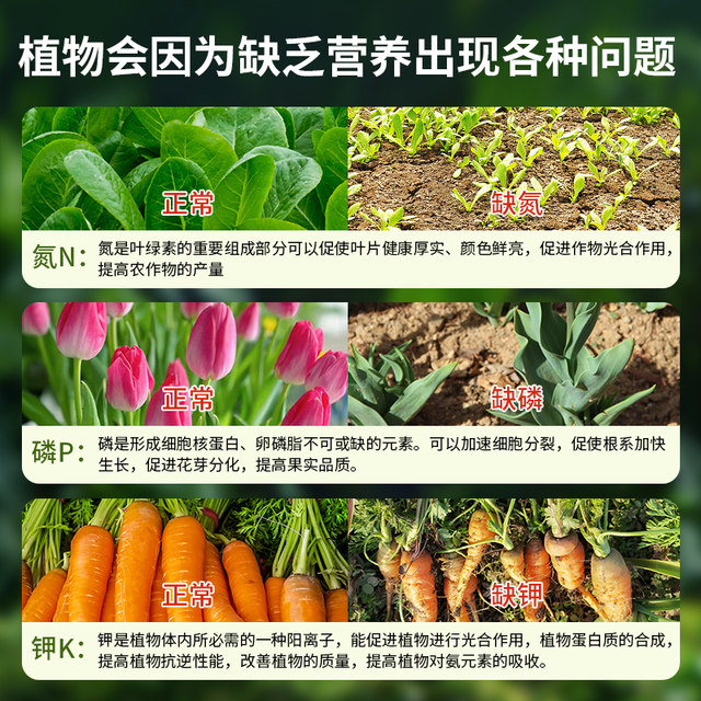 Compound fertilizer, vegetable agricultural fertilizer, household fertilizer for growing flowers and green plants, general-purpose ternary nitrogen, phosphorus and potassium special fertilizer