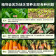 Compound fertilizer, vegetable agricultural fertilizer, household fertilizer for growing flowers and green plants, general-purpose ternary nitrogen, phosphorus and potassium special fertilizer