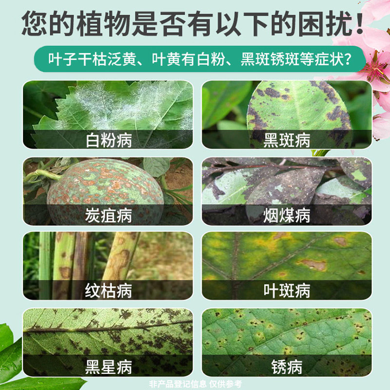 多菌灵杀菌剂多菌菌灵专用花药百菌淸灭菌箘灵植物花卉黑斑白粉病_虎窝淘