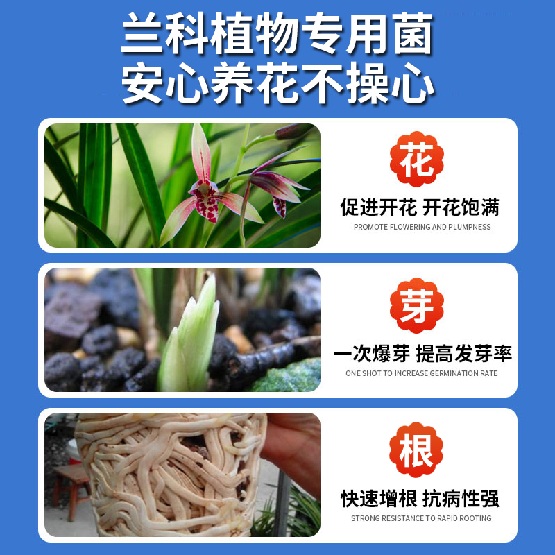 兰灵王兰花专用肥料EM菌微生物杀菌多箭素君子兰蝴蝶兰墨兰营养液 - 图1