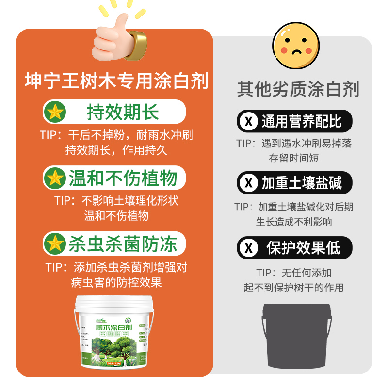 树木果树树干涂白剂防虫防冻大树石灰粉刷树白灰涂树越冬过冬保护 - 图0